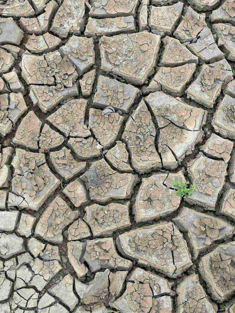 Z pohledu změny klimatu se jeví jako velmi významné riziko narůstající sucho