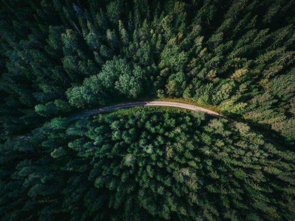 Obrázek zobrazuje pohled z ptačí perspektivy na lesní krajinu s cestou procházející hustým lesem. Tento snímek symbolizuje udržitelnost, environmentální odpovědnost a propojení přírody s lidskými aktivitami, což je v souladu s cíli a principy standardů GRI (Global Reporting Initiative). GRI standardy pomáhají organizacím transparentně reportovat své environmentální, sociální a správní dopady (ESG), podobně jako cesta uprostřed lesa představuje nutnost udržitelného řízení přírodních zdrojů a dlouhodobého pozitivního vlivu na naši planetu.