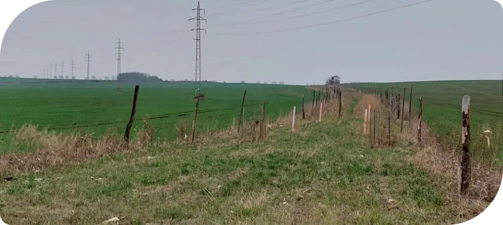 Biokoridor v obci Kleneč realizoavný na základě územní studie krajiny (ÚSK) ORP Roudnice