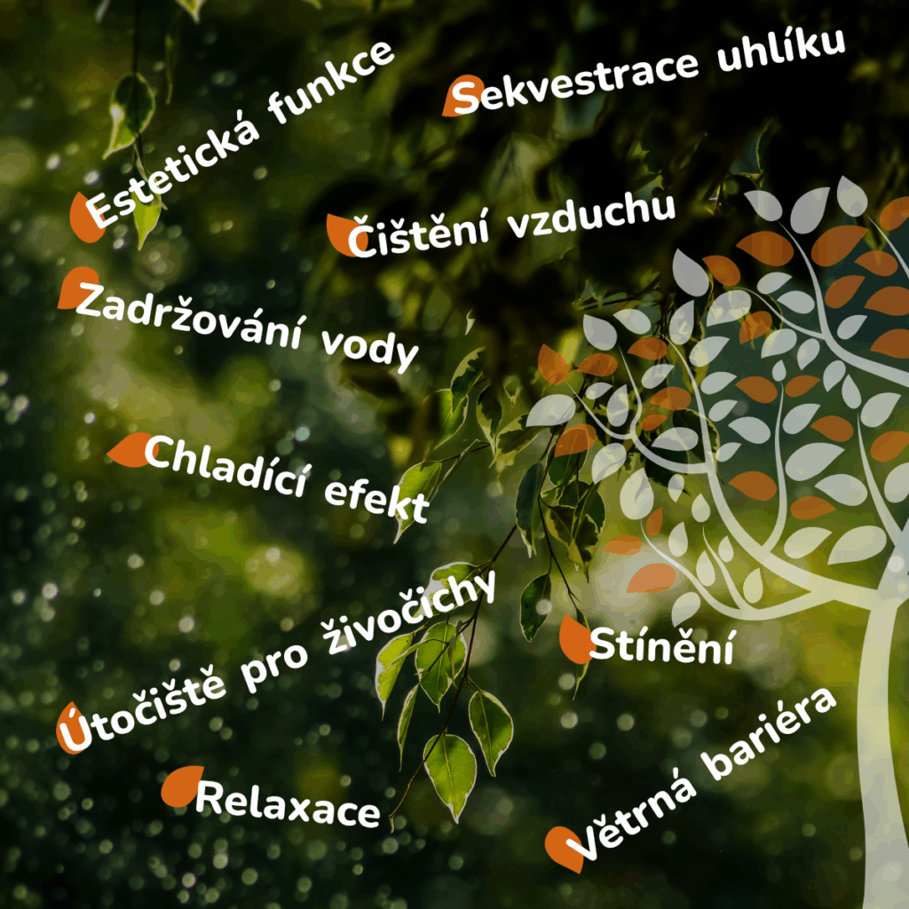 Schéma znázorňující ekosystémové služby stromů včetně sekvestrace uhlíku, chladicího efektu, útočiště pro živočichy, zadržování vody, větrné bariéry, čištění vzduchu, estetické a relaxační funkce, stínění a dalších přínosů pro klima a kvalitu života ve městech.